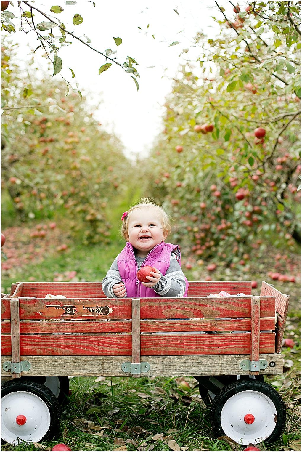 Apple Orchard Family Photos